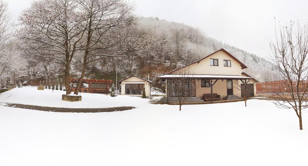 Pensiunea Tudor Breaza Экстерьер фото