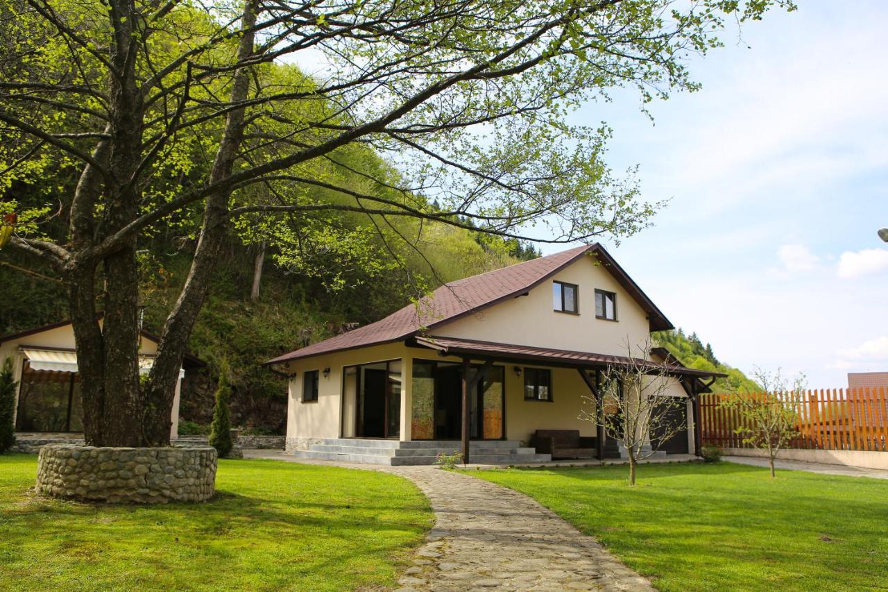 Pensiunea Tudor Breaza Экстерьер фото