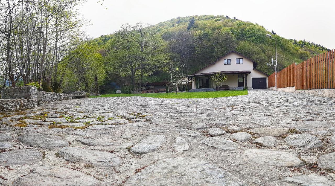 Pensiunea Tudor Breaza Экстерьер фото