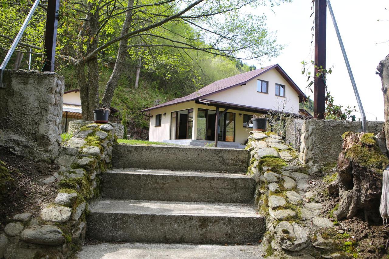 Pensiunea Tudor Breaza Экстерьер фото